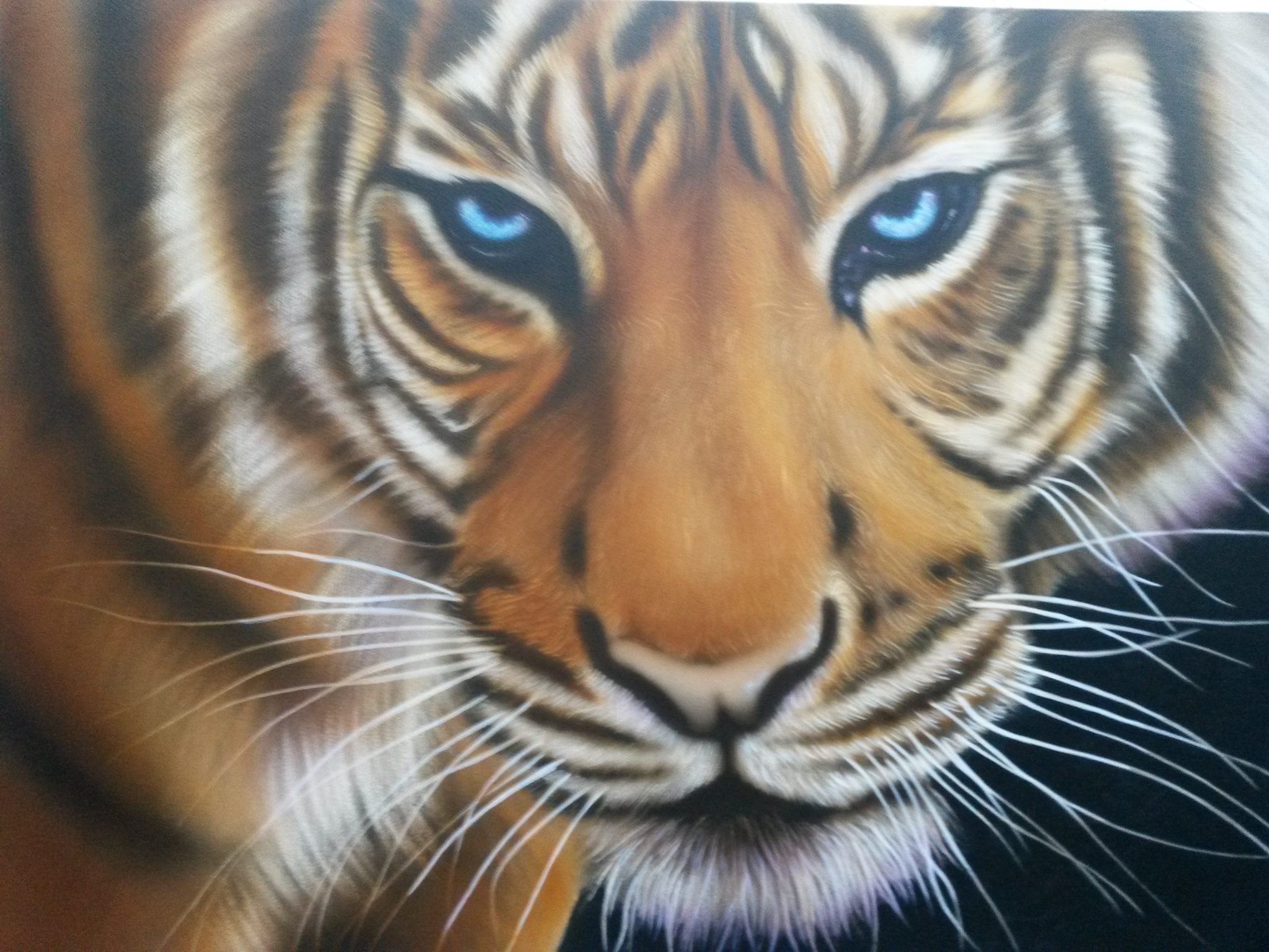 Tijger
