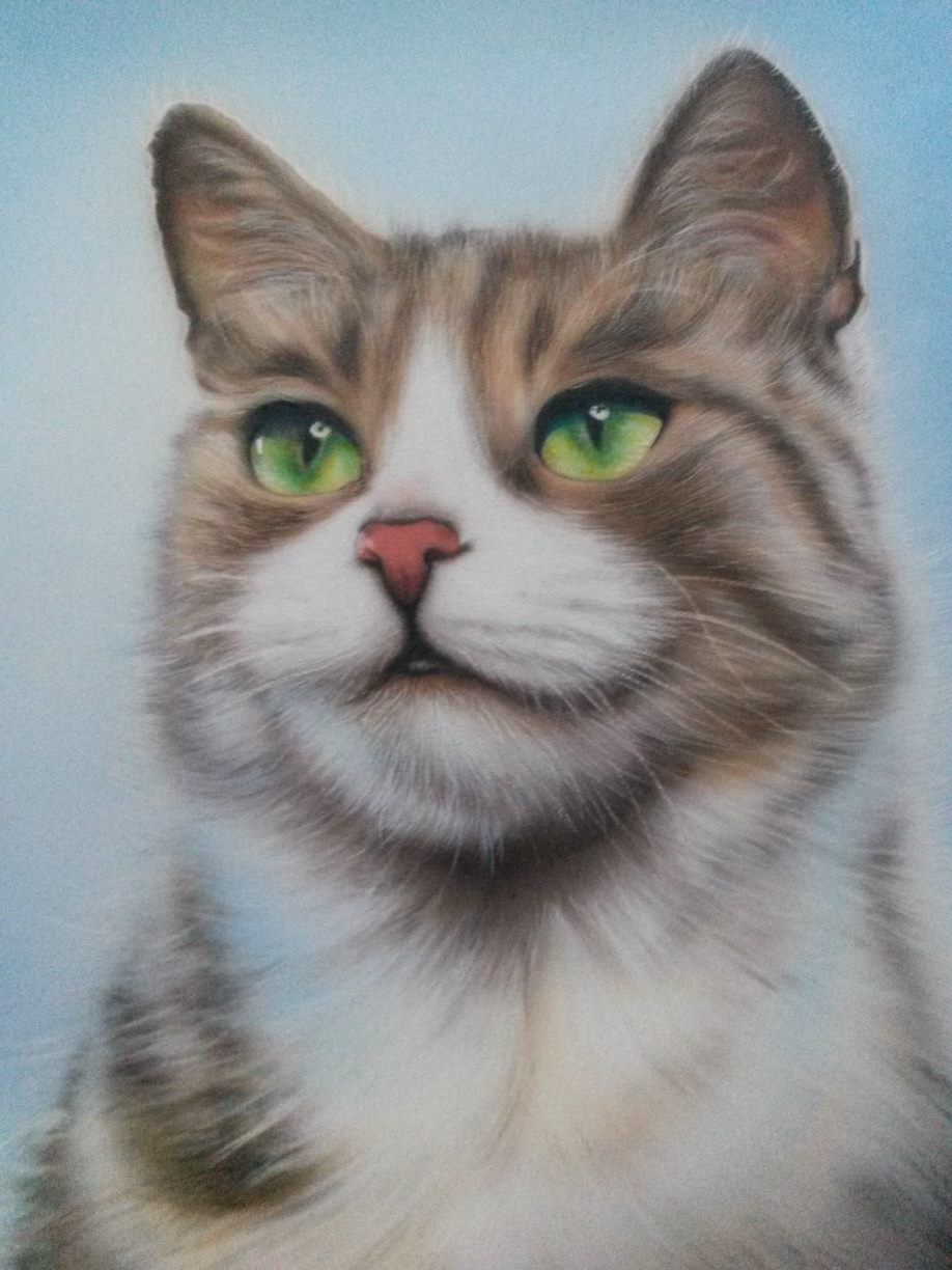 Kat