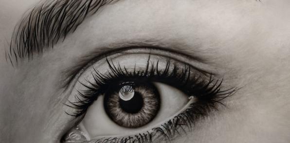 The eye