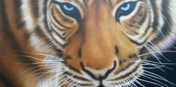 Tijger